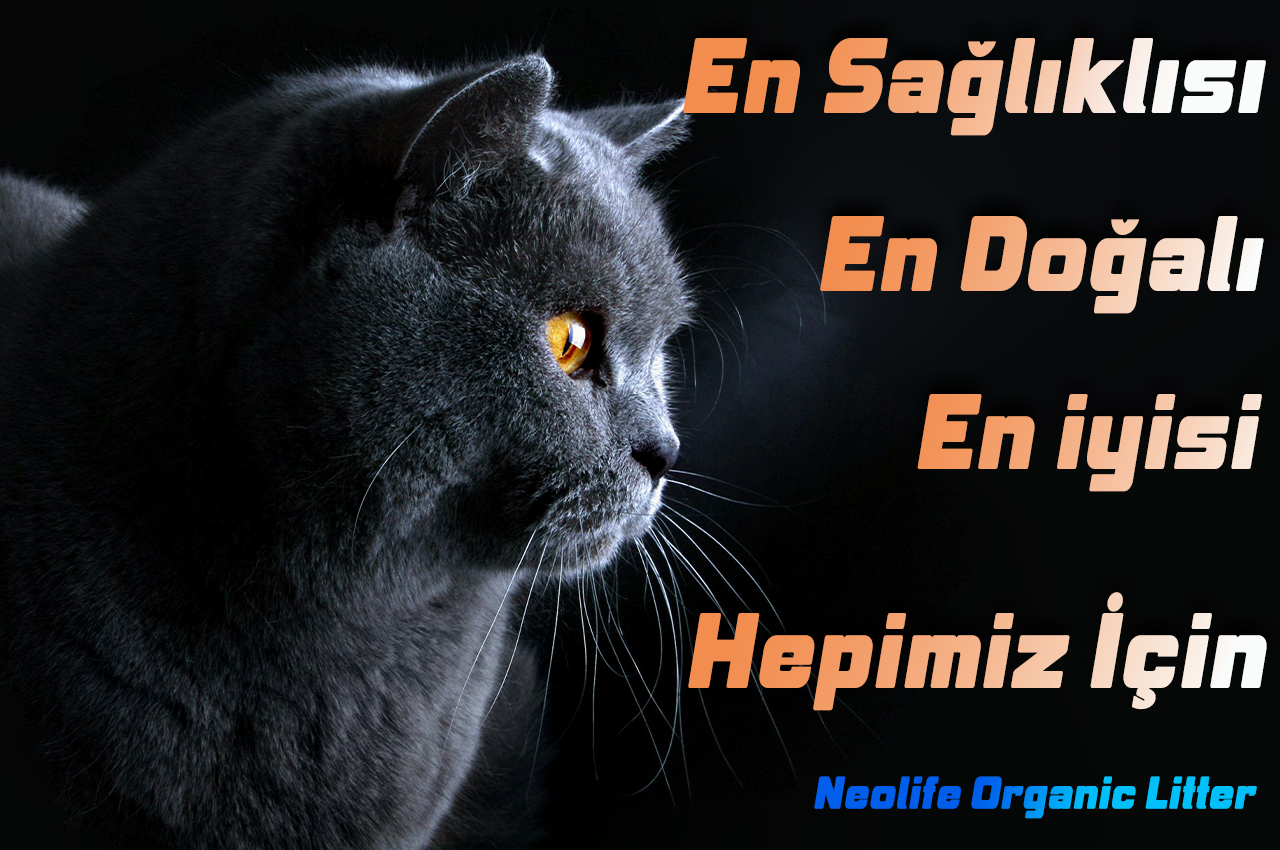 NeoLife Organik Kedi Kumu